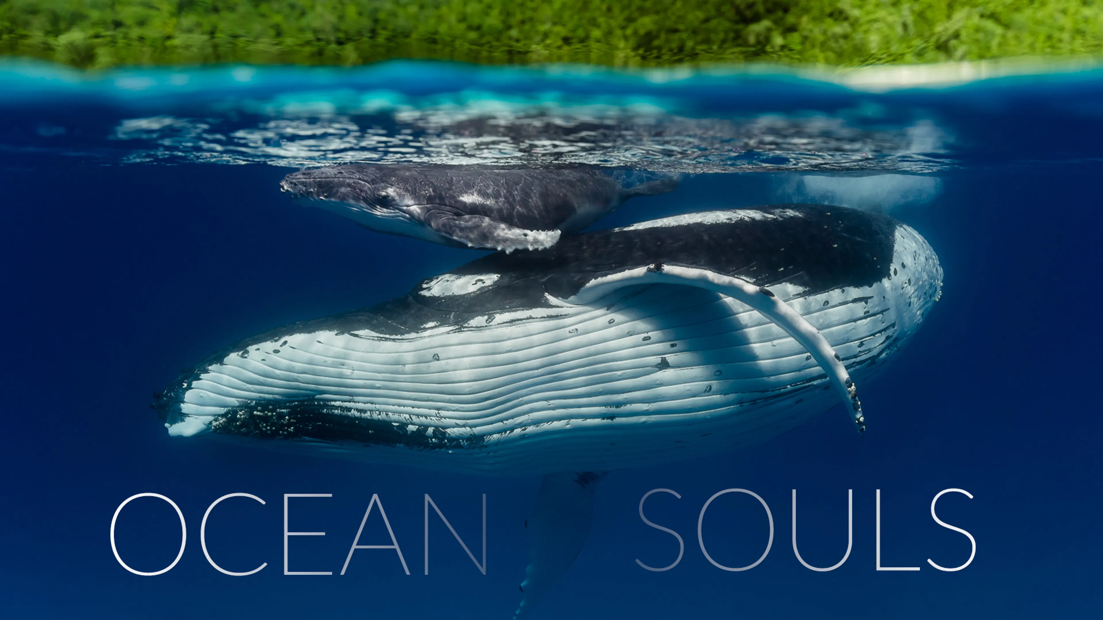 Ocean Souls poster